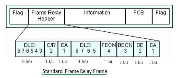 Standard Frame Relay Frame