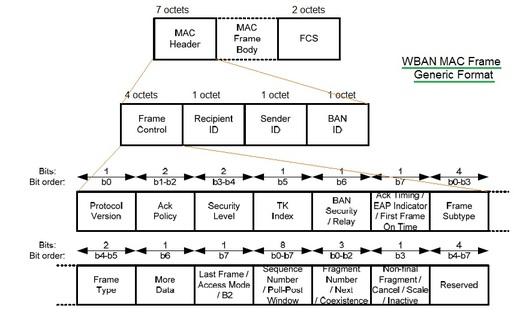 WBAN MAC Layer Frame