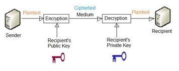 Public Key vs. Private Key Encryption: Key Differences Explained