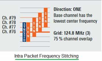 UWB Intra Packet Frequency Stitching