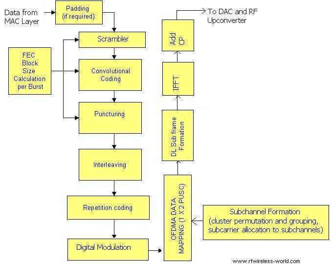 OFDMA Physical layer