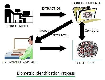Biometric Identification Process