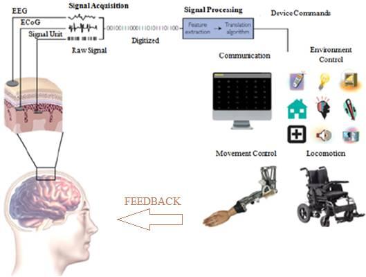 Brain Computer Interface