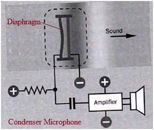 Condenser microphone
