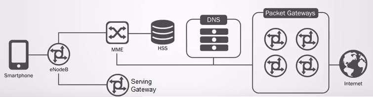 DNS in LTE
