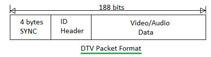 DTV packet format