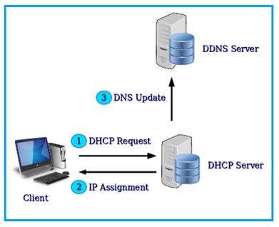 Dynamic DNS network
