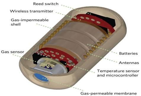 Electronic Pill