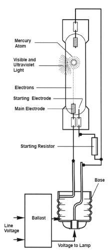 HID Bulb working