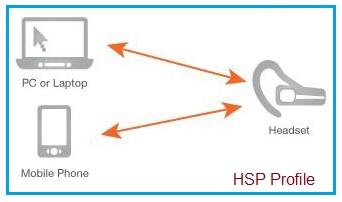 HSP profile