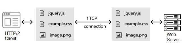 HTTP/2 protocol
