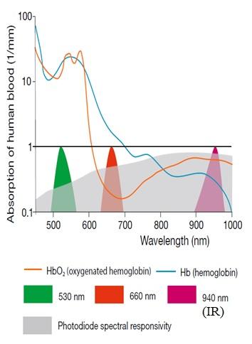 Light wavelength vs absorption in blood