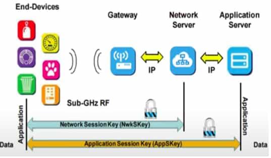 LoRaWAN Network Server roles