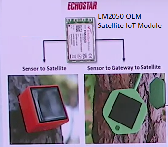 LoRaWAN Satellite IoT OEM Module