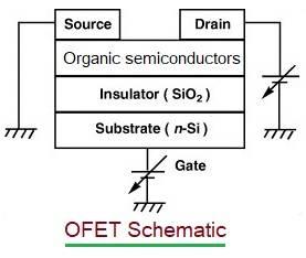 OFET schematic