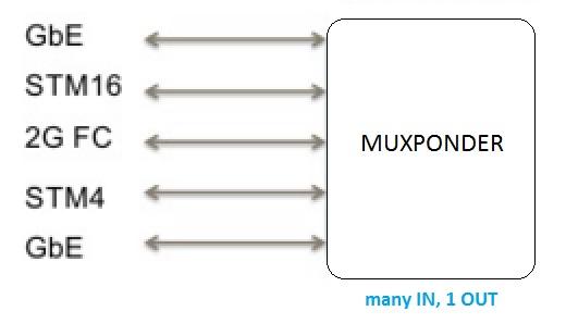 Optical Muxponder