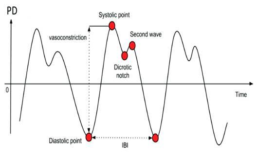PPG curve