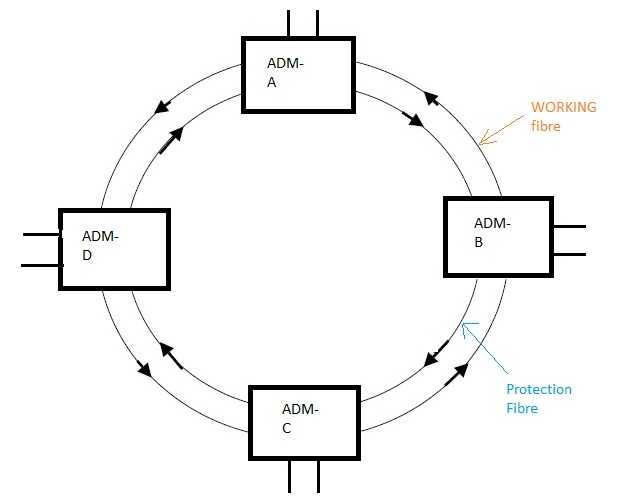 SDH network fig2