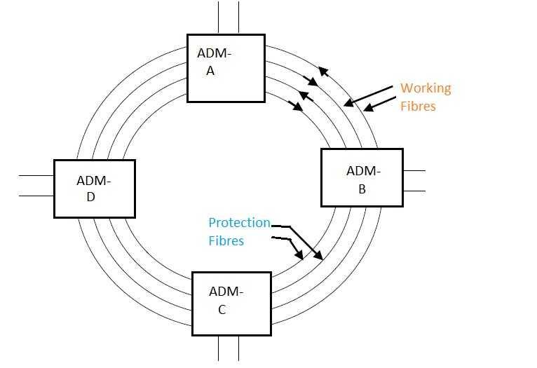 SDH network fig3