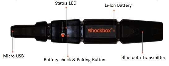 Shockbox sensor