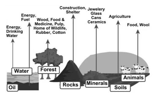Sources of renewable materials