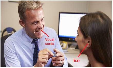 Verbal communication