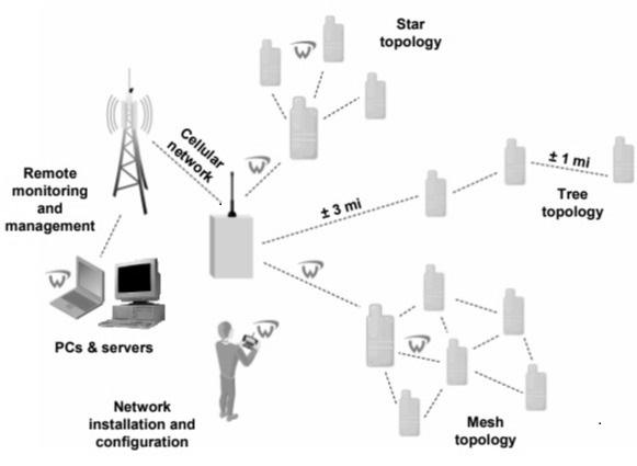 Wavenis Network