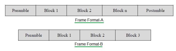 Wireless M-Bus Frame formats