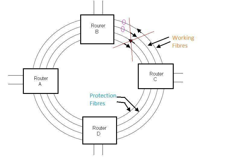 bidirectional ring protection