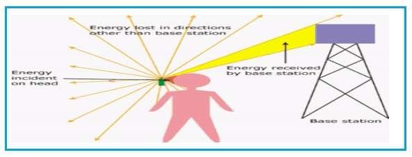 cell phone radiation