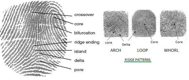 finger patterns