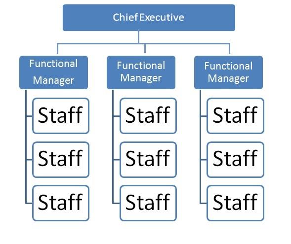 Functional Matrix Projectized Functional vs. Projectized vs. Matrix Organization Structures | RF ...