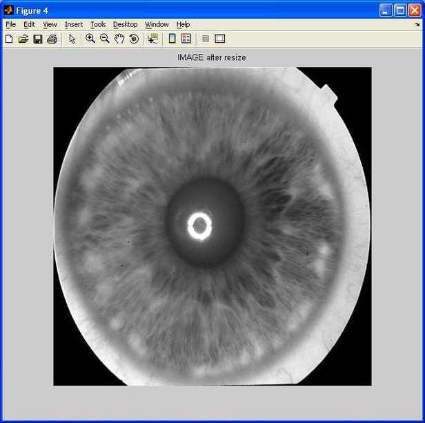 iris detection image resize