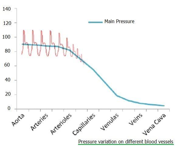 pressure changes on blood vessels