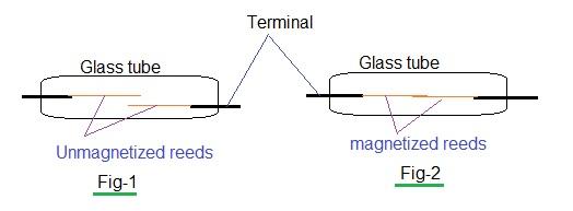 reed switch