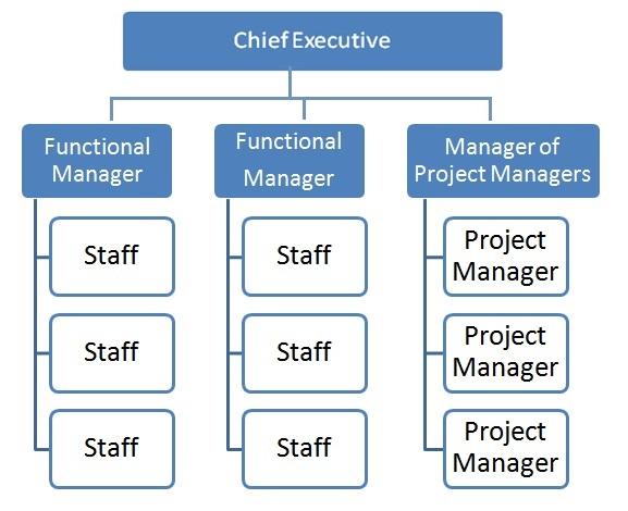 strong matrix organization