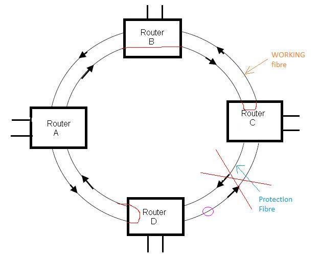 unidirectional ring protection