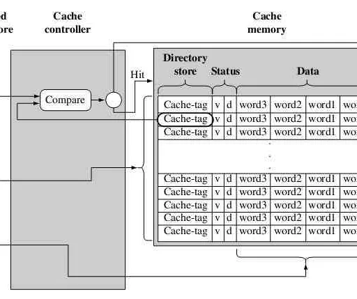 ARM Cache Architecture: Types and Functions