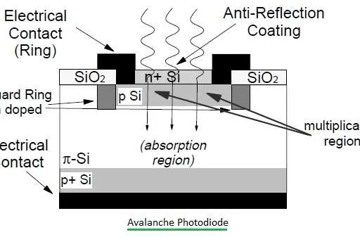Schottky Barrier vs. Avalanche Photodiodes: Key Differences