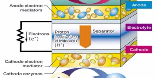 Bio Battery: Construction, Working, Advantages, and Disadvantages