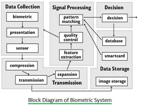 Biometric Systems: A Comprehensive Guide