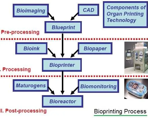 3D Bioprinting: Printing Body Parts with Bio-Printers