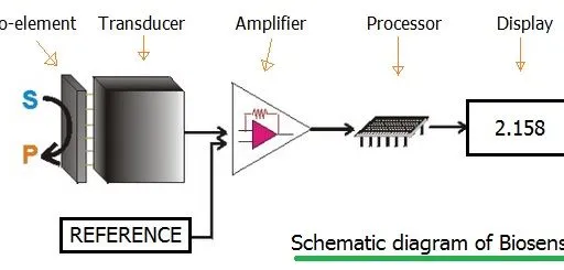 Types of Biosensors : Optical, Electrochemical, Piezoelectric examples