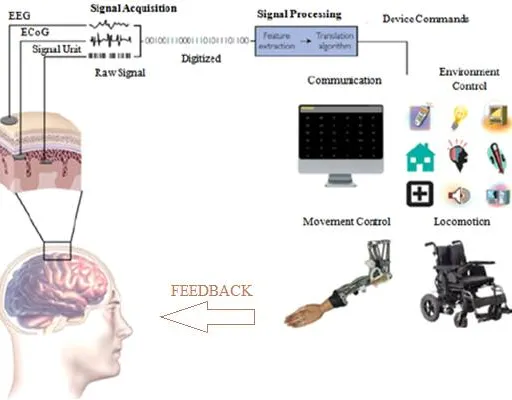 What is Brain Computer Interface (BCI) : 5 Advantages and Disadvantages