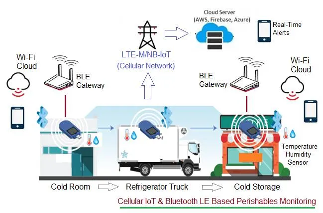 Cellular IoT and Bluetooth LE based Perishables Monitoring