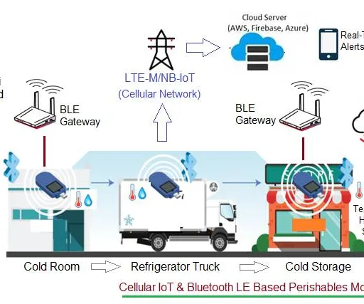 Cellular IoT & BLE Perishables Monitoring for Pharmaceutical & Medical Industry