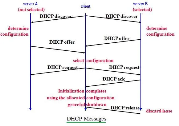 DHCP messages exchanged