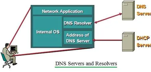 DNS vs. mDNS: Key Differences in Networking Protocols
