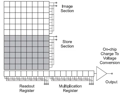 CCD vs EMCCD vs ICCD: A Detailed Comparison