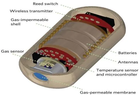 Electronic Pill
